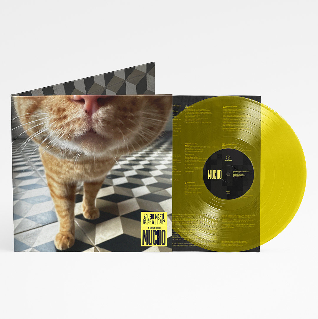 Vinilo ¿puede Martí bajar a jugar?